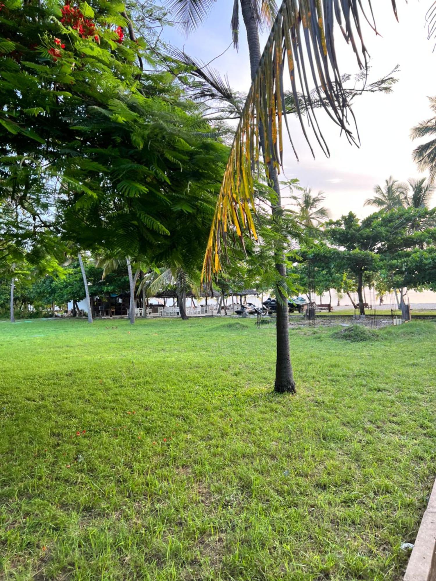 Waves And Wanderlust-Diani Beach Exteriér fotografie