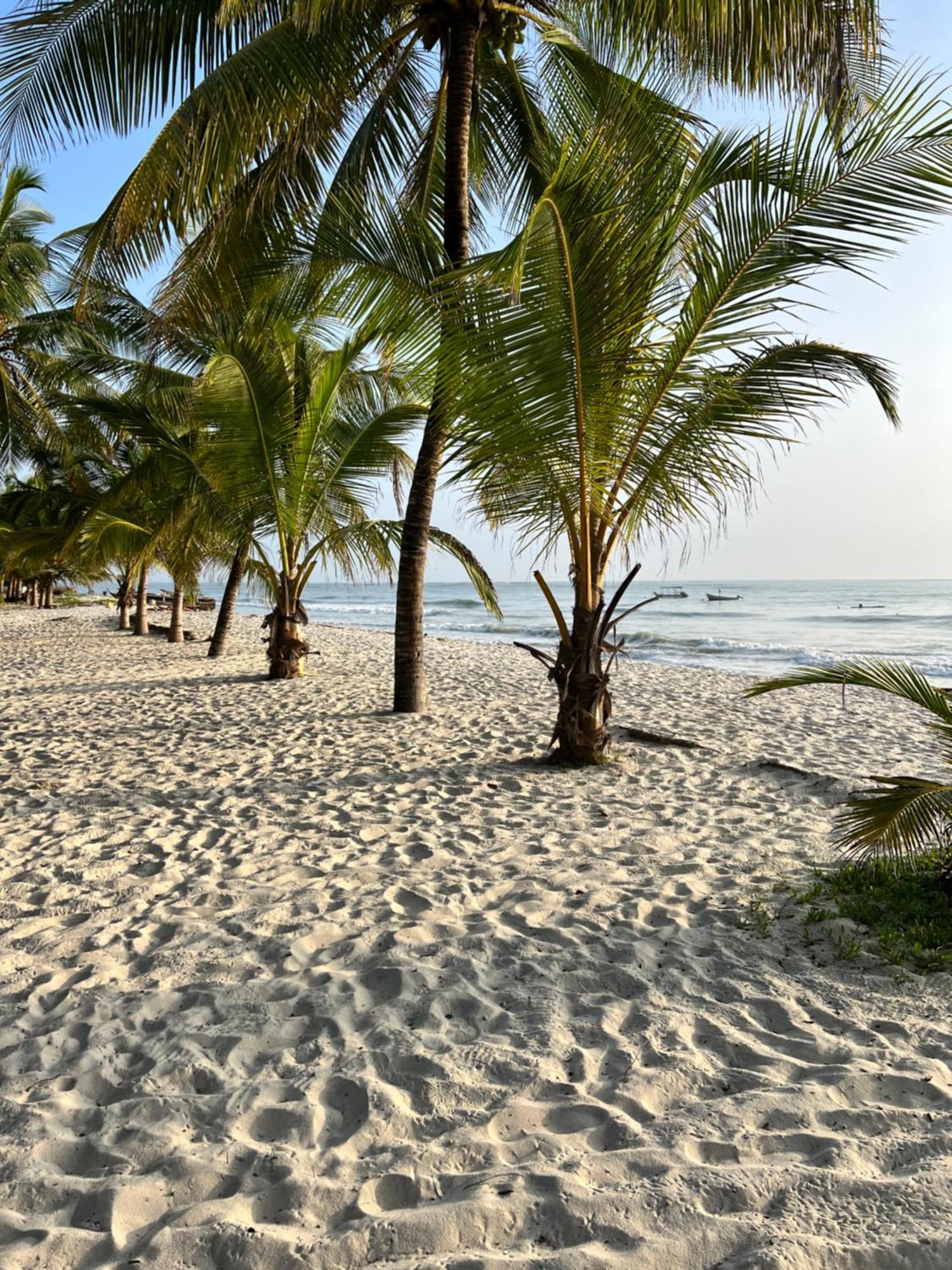 Waves And Wanderlust-Diani Beach Exteriér fotografie