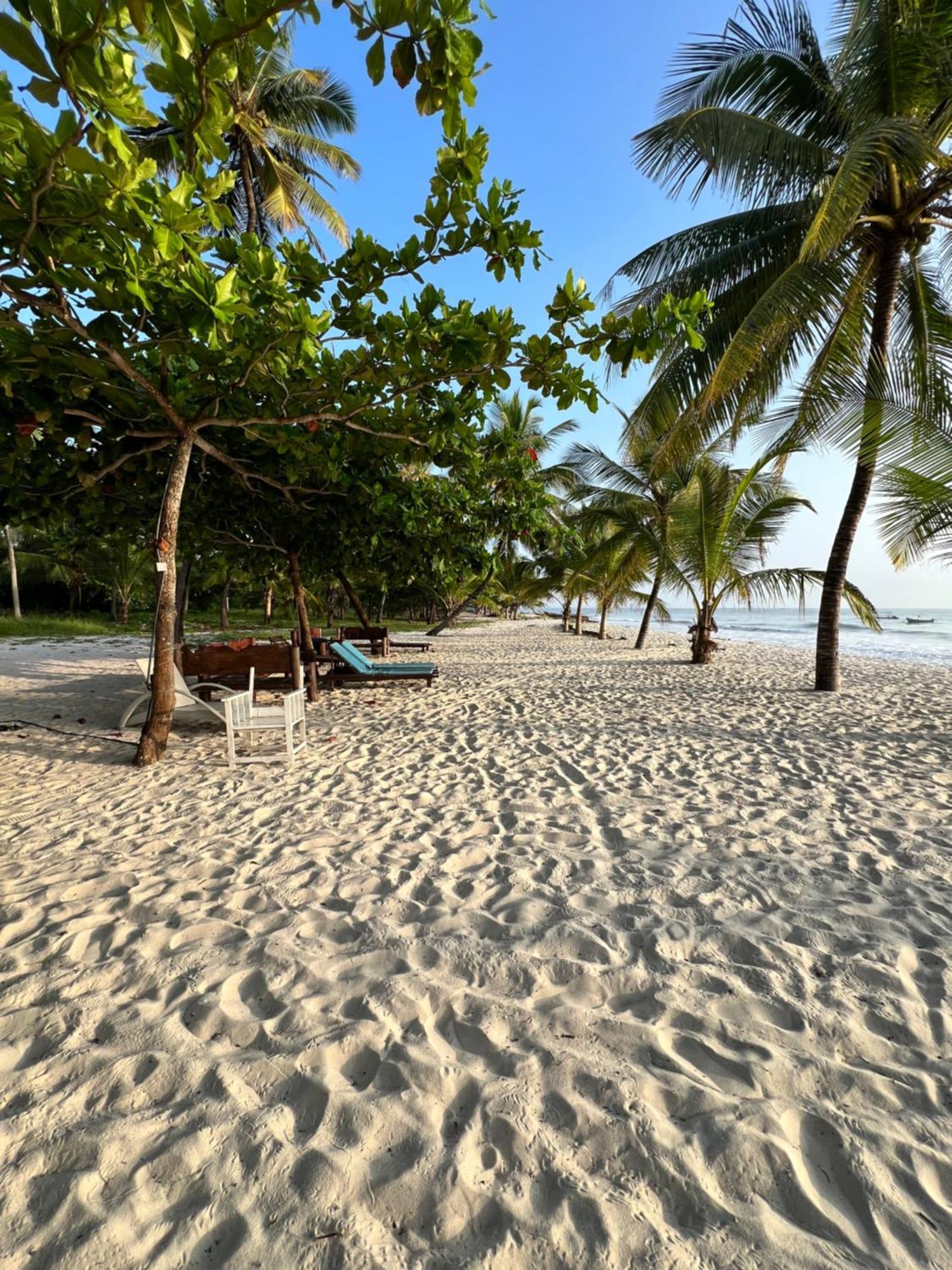 Waves And Wanderlust-Diani Beach Exteriér fotografie