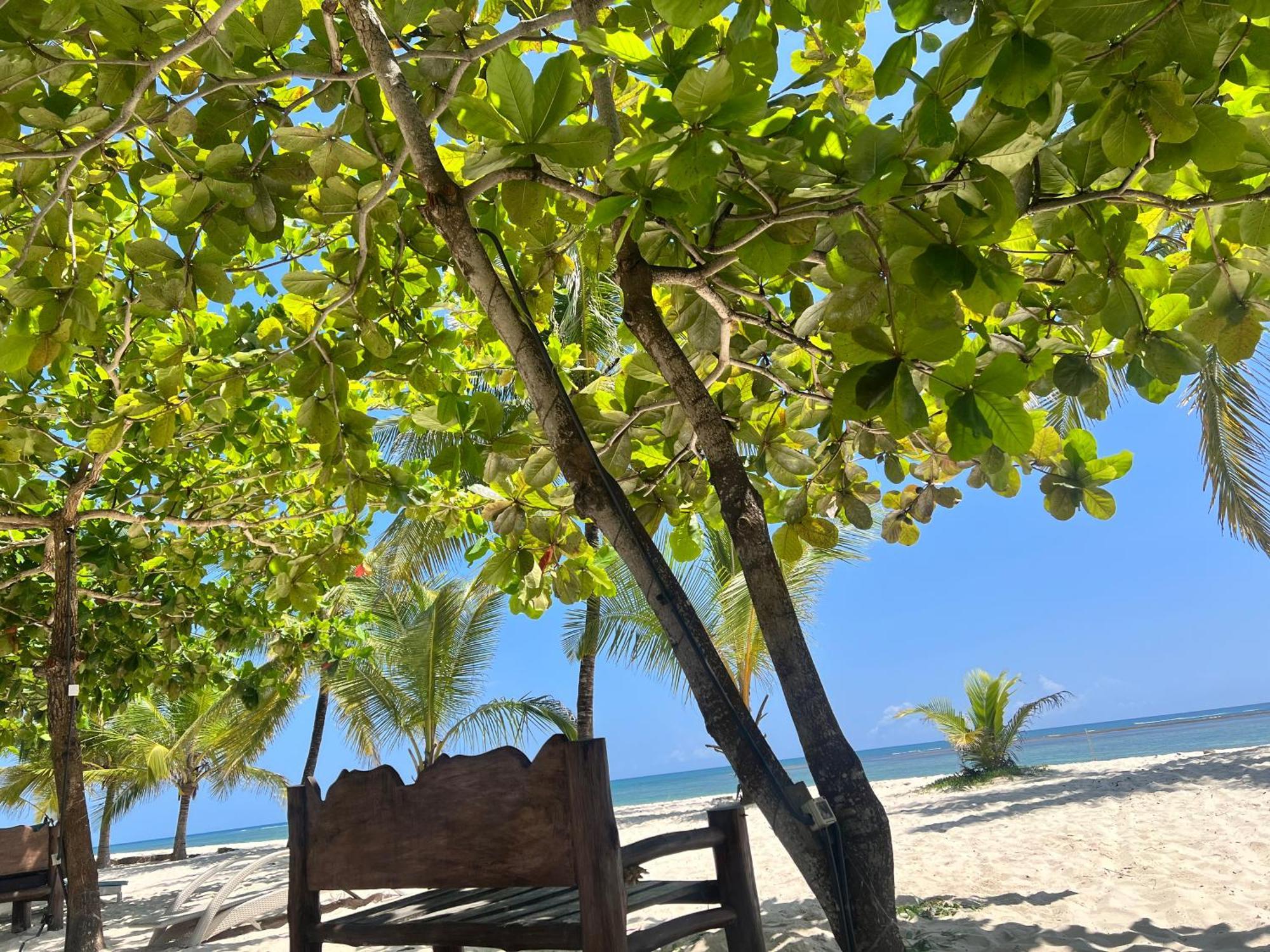 Waves And Wanderlust-Diani Beach Exteriér fotografie